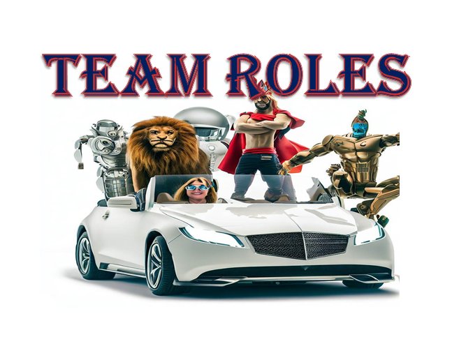 Team Role